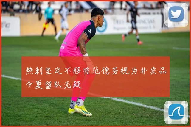 热刺坚定不移将范德芬视为非卖品今夏留队无疑
