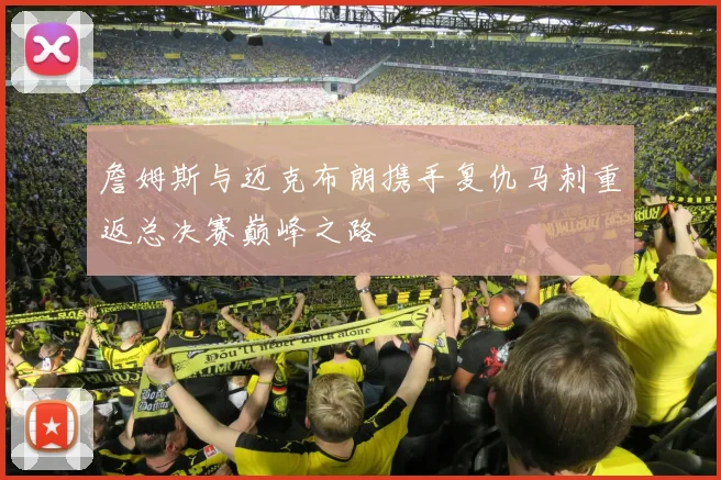 詹姆斯与迈克布朗携手复仇马刺重返总决赛巅峰之路